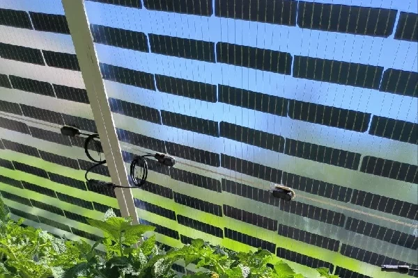 Uzbekistan Adopts New Solar PV BIPV Components to Power Vegetable Greenhouses Uzbekistan Adopts New Solar PV BIPV Components to Power Vegetable Greenhouses